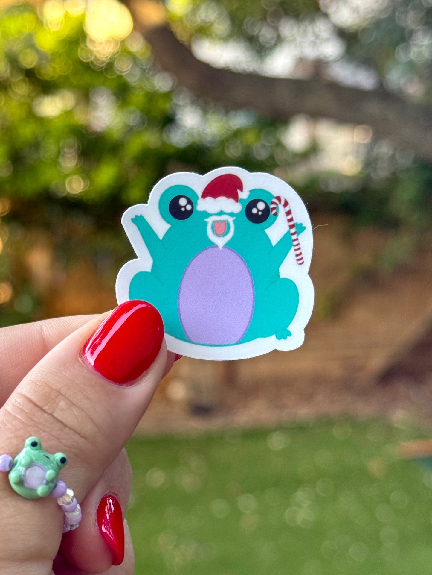 Santa Momo Frog (mini)